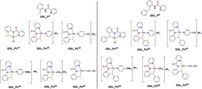 Effect of palladium(II) complexes on NorA efflux pump inhibition and resensitization of fluoroquinolone-resistant Staphylococcus aureus: in vitro and in silico approach